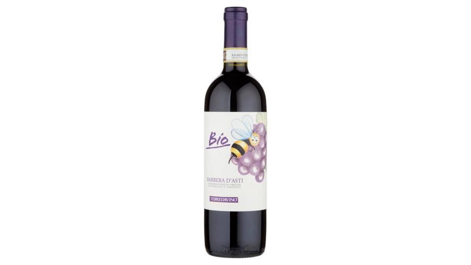 Terredavino Bio Barbera D'asti