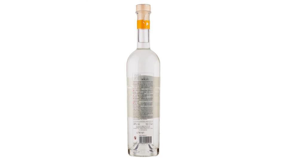 Castagner Grappa Vite Pura Moscato