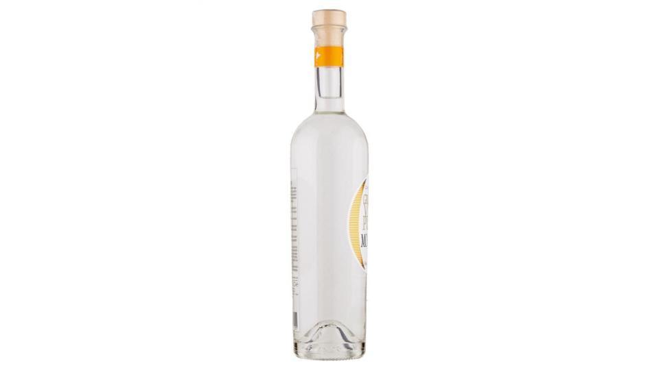 Castagner Grappa Vite Pura Moscato