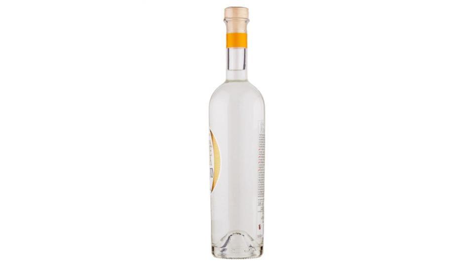 Castagner Grappa Vite Pura Moscato