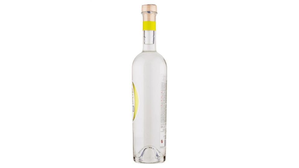 Castagner Grappa Vite Pura Prosecco