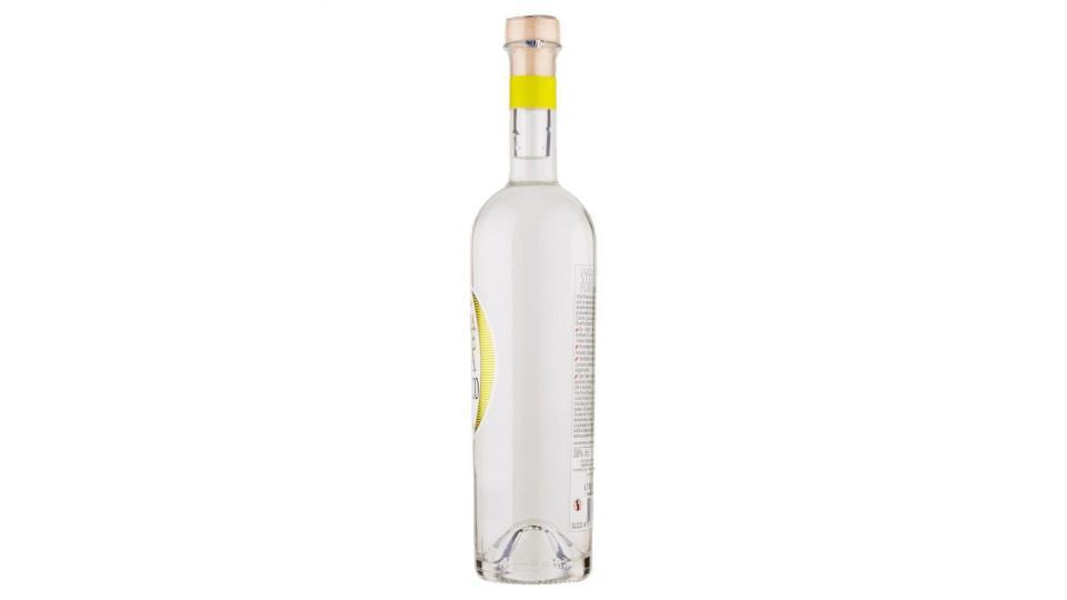 Castagner Grappa Vite Pura Prosecco