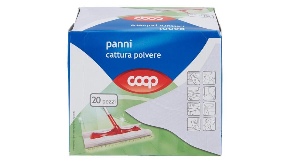 Panni Cattura Polvere 21,5x26,5 Cm