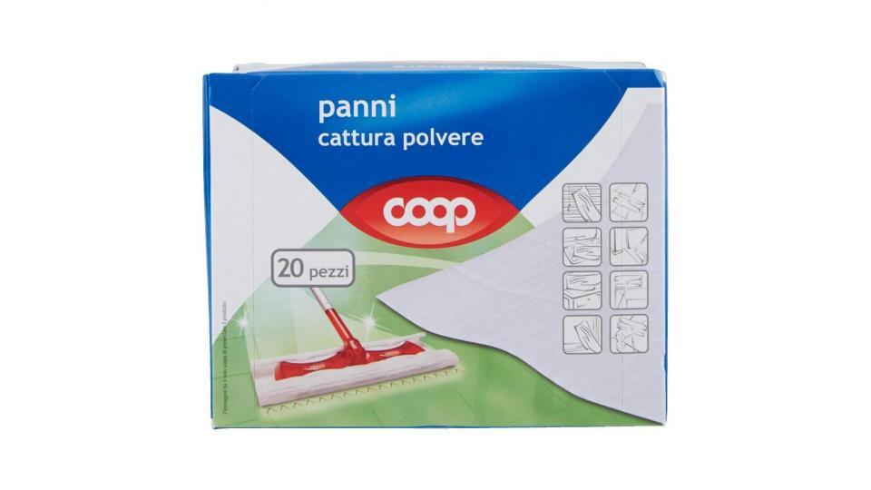 Panni Cattura Polvere 21,5x26,5 Cm