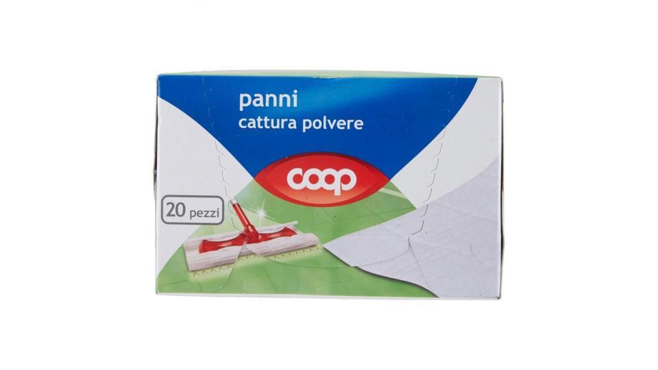 Panni Cattura Polvere 21,5x26,5 Cm