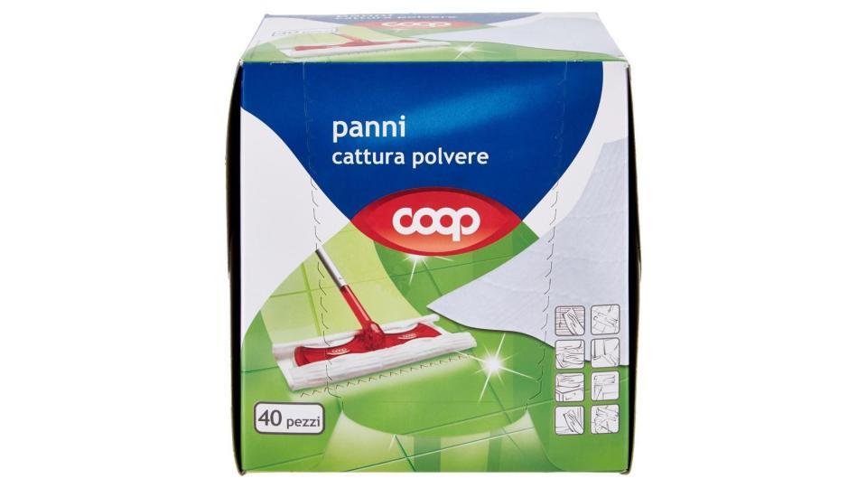 Panni Cattura Polvere 21,5x26,5 Cm