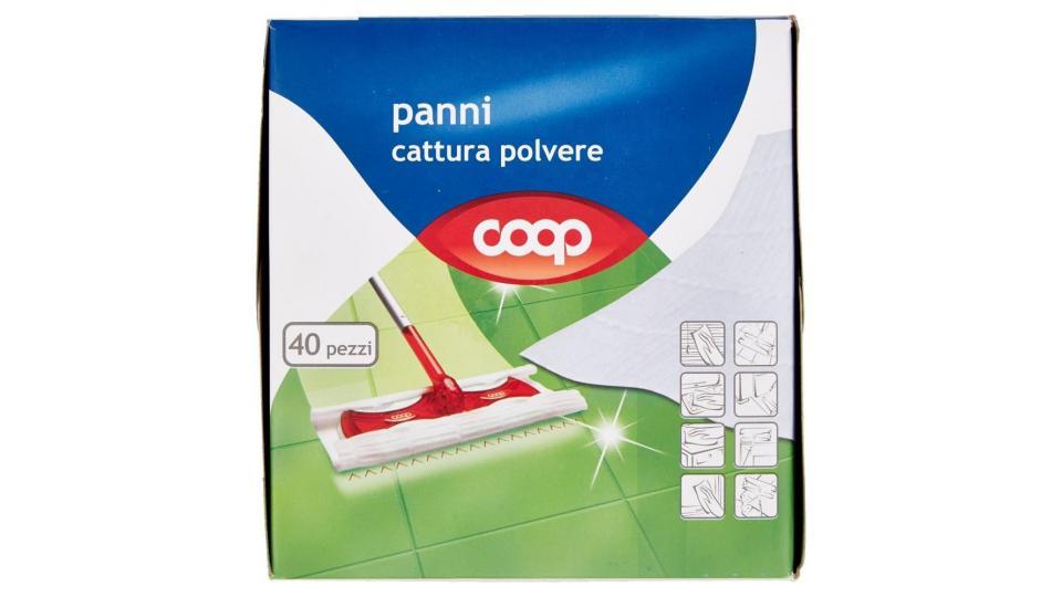 Panni Cattura Polvere 21,5x26,5 Cm