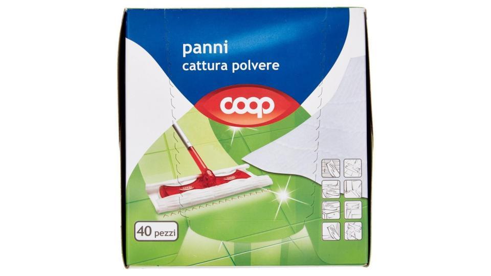 Panni Cattura Polvere 21,5x26,5 Cm