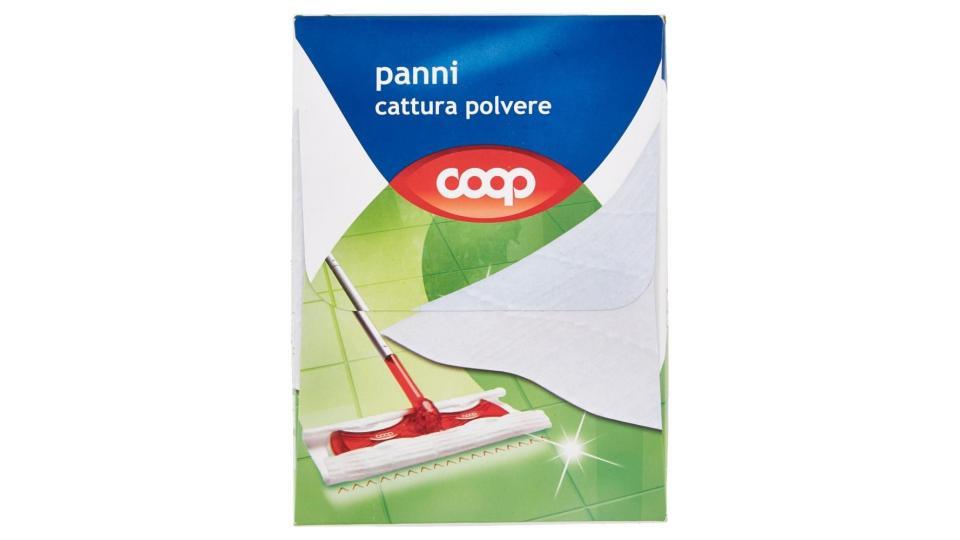 Panni Cattura Polvere 21,5x26,5 Cm