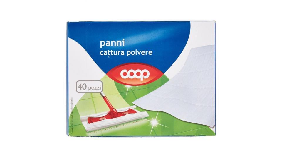 Panni Cattura Polvere 21,5x26,5 Cm