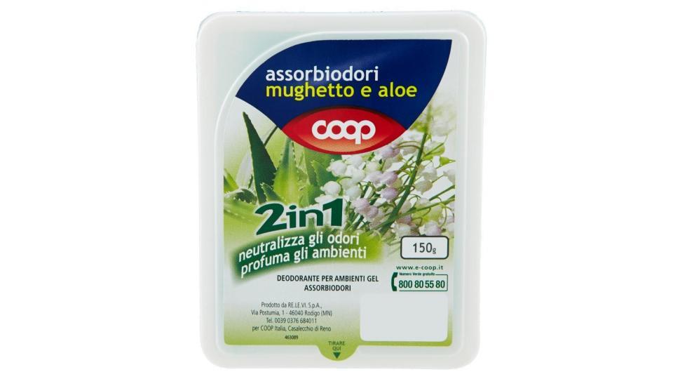 Assorbiodori Mughetto E Aloe 2in1