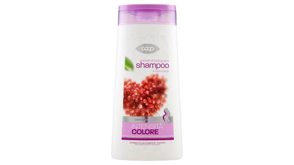Shampoo Estratti Di Melograno E Uva Rossa Capelli Colorati Intensità Colore