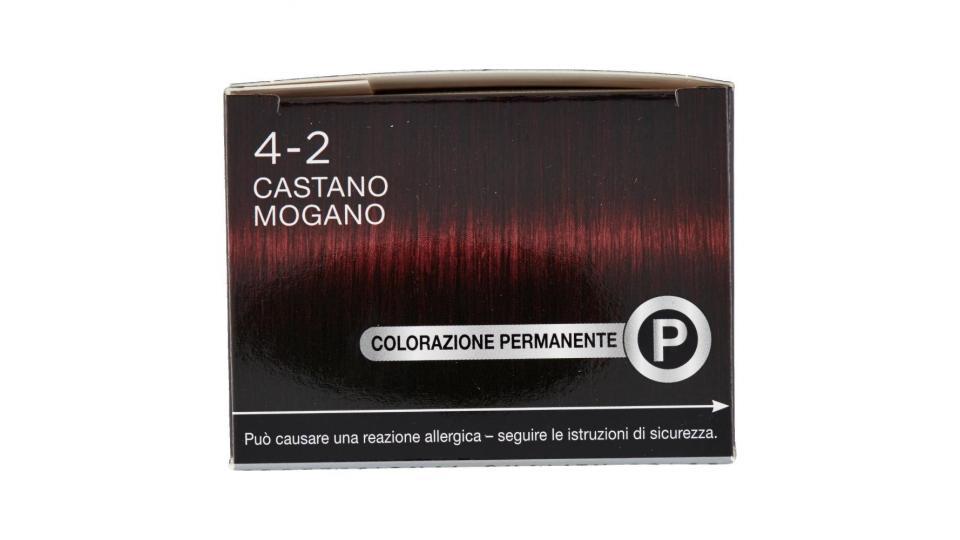 Palette 4-2 Castano Mogano