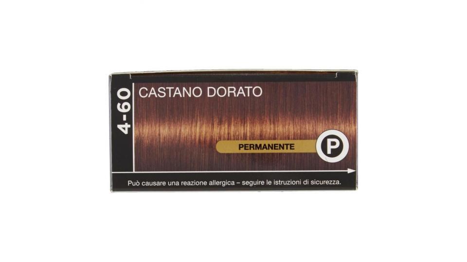 Palette Oleo Intense 4-60 Castano Dorato