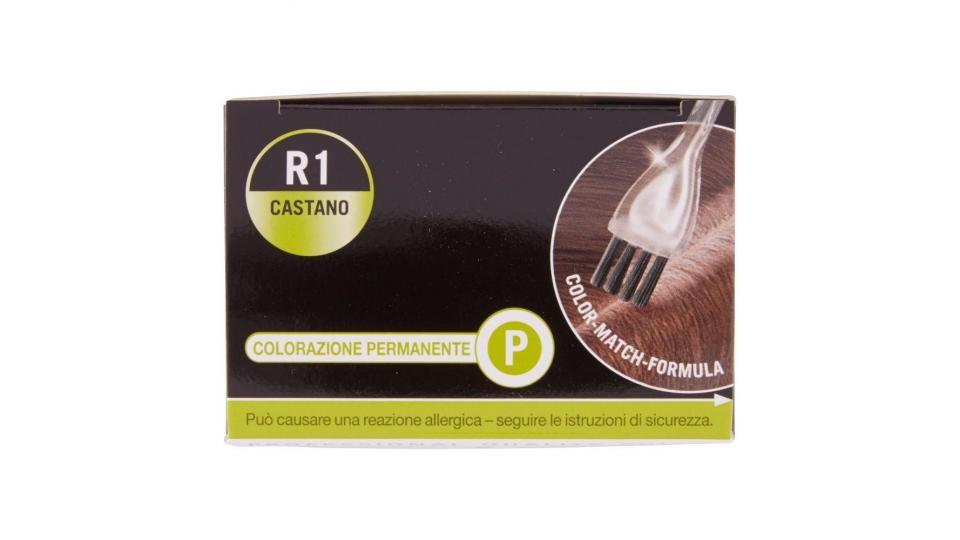 Testanera Natural&easy Set Ricrescita R1 Castano