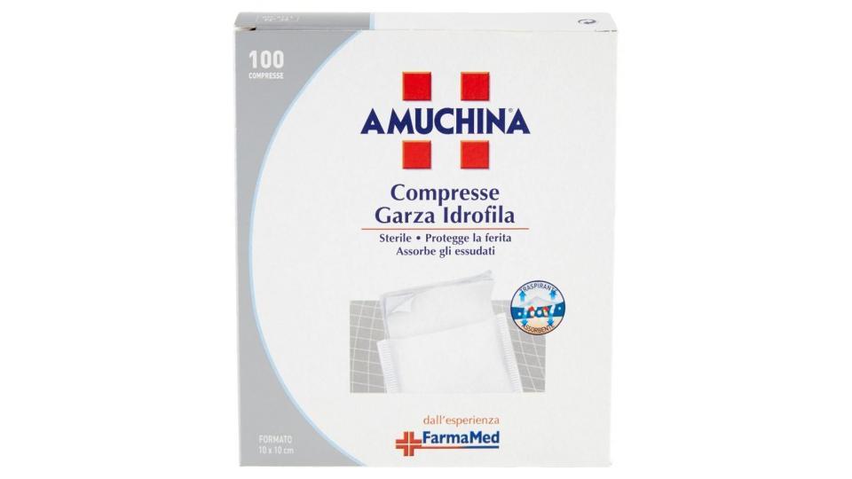 Amuchina Compresse Garza Idrofila 100 Compresse Formato