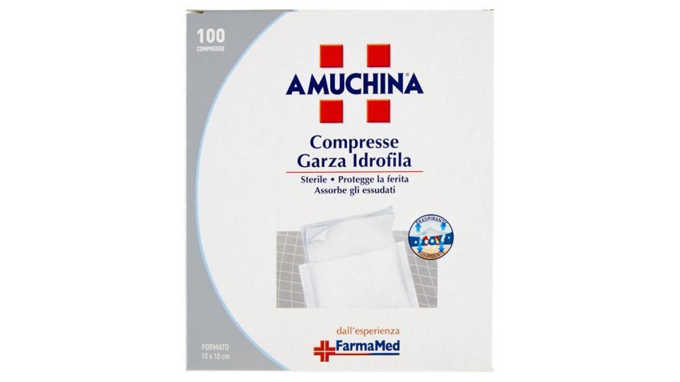 Amuchina Compresse Garza Idrofila 100 Compresse Formato