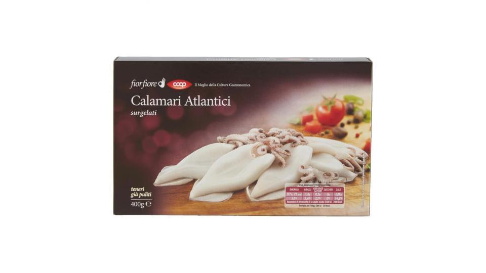 Calamari Atlantici Surgelati