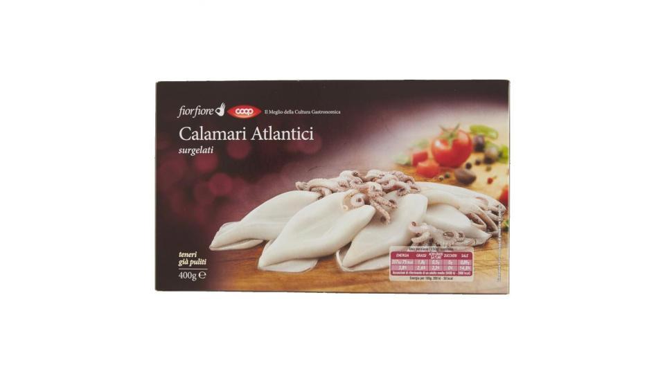 Calamari Atlantici Surgelati