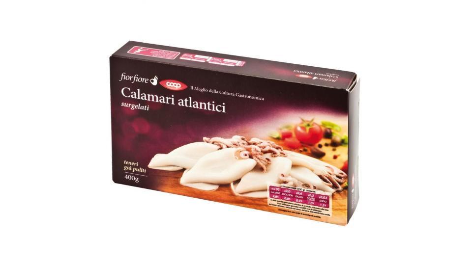 Calamari Atlantici Surgelati