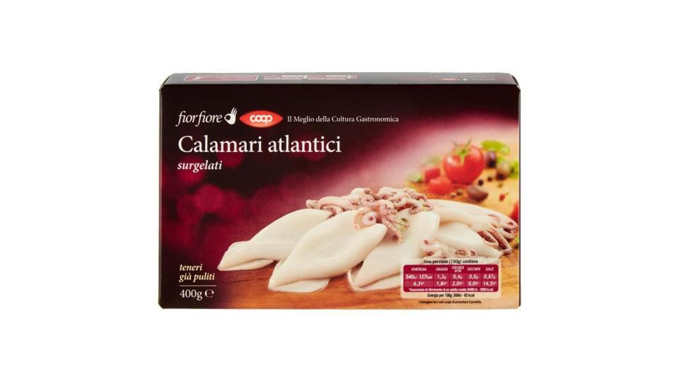 Calamari Atlantici Surgelati