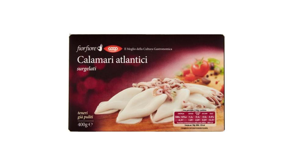 Calamari Atlantici Surgelati