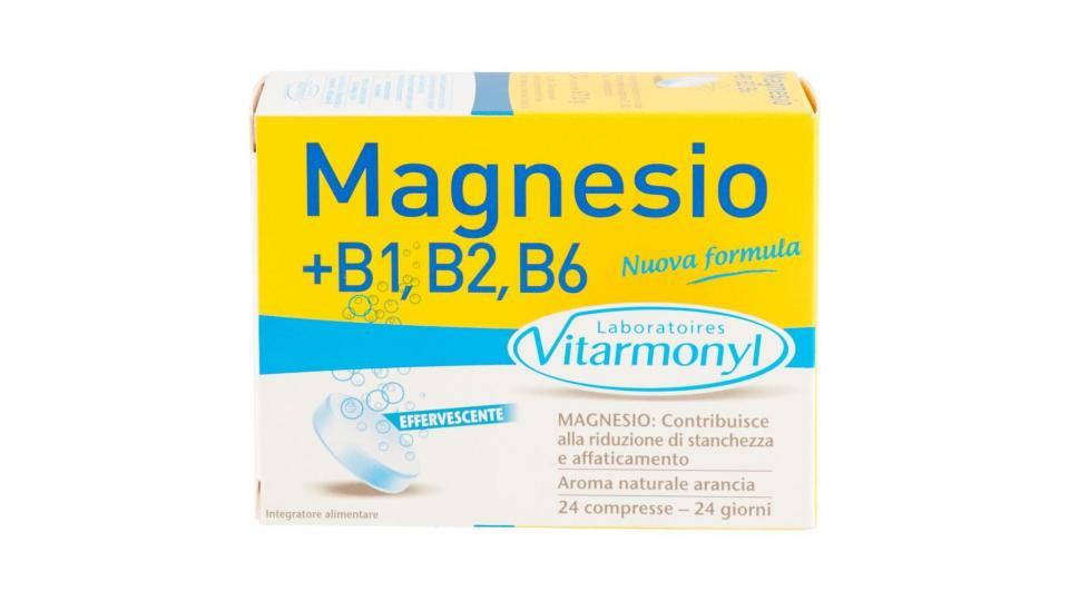 Laboratoires Vitarmonyl Magnesio +b1, B2, B6 24 Compresse