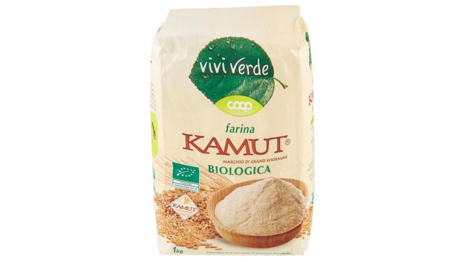 Farina Kamut Biologica