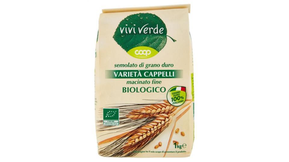 Semolato Di Grano Duro Varietà Cappelli Macinato Fine Biologico