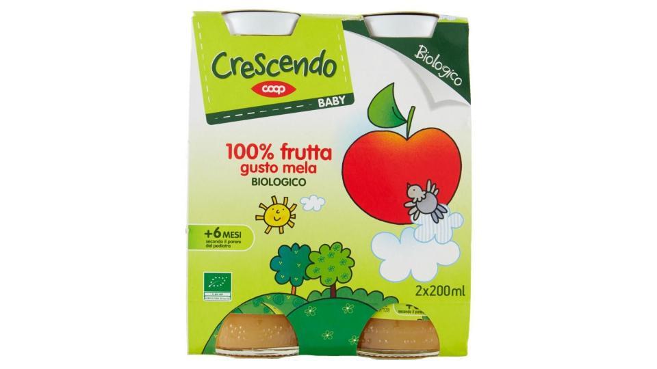 Baby 100% Frutta Gusto Mela Biologico