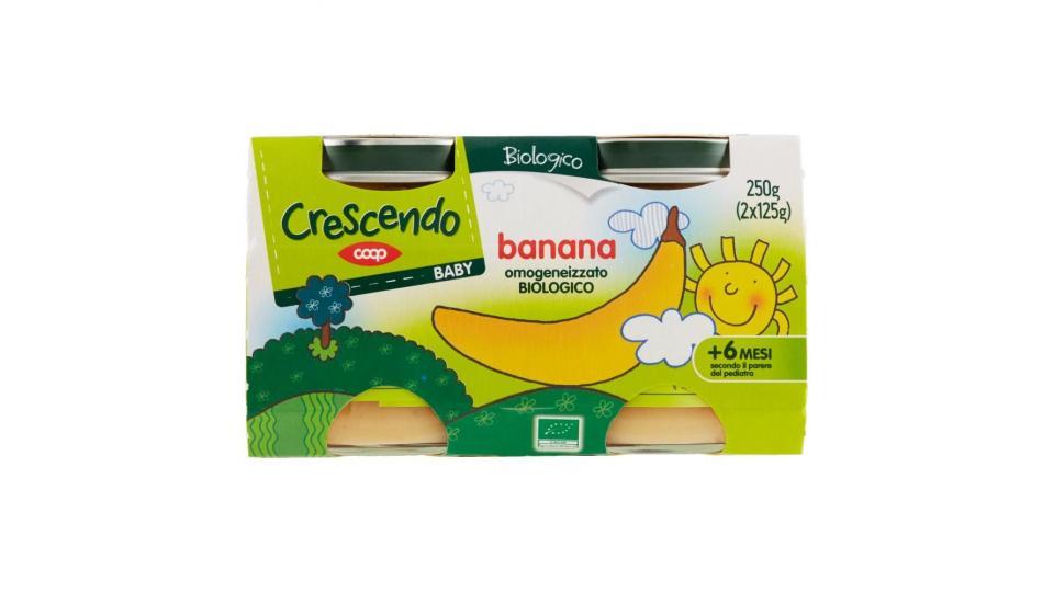 Banana Omogeneizzato Biologico