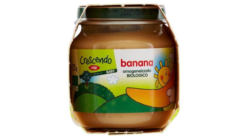 Banana Omogeneizzato Biologico