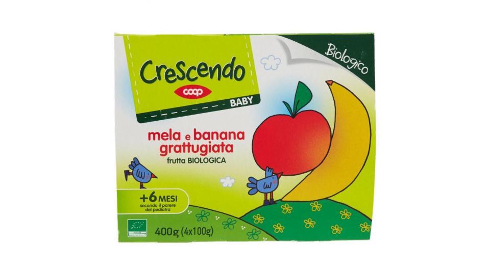 Mela E Banana Grattugiata Frutta Biologica