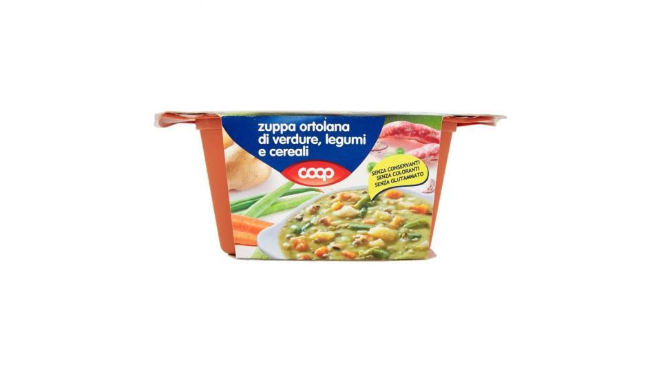 Zuppa Ortolana Di Verdure, Legumi E Cereali