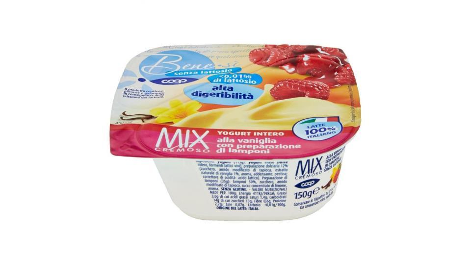 Senza Lattosio Mix Cremoso Yogurt Intero Alla Vaniglia Con Preparazione Di Lamponi