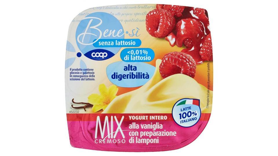 Senza Lattosio Mix Cremoso Yogurt Intero Alla Vaniglia Con Preparazione Di Lamponi