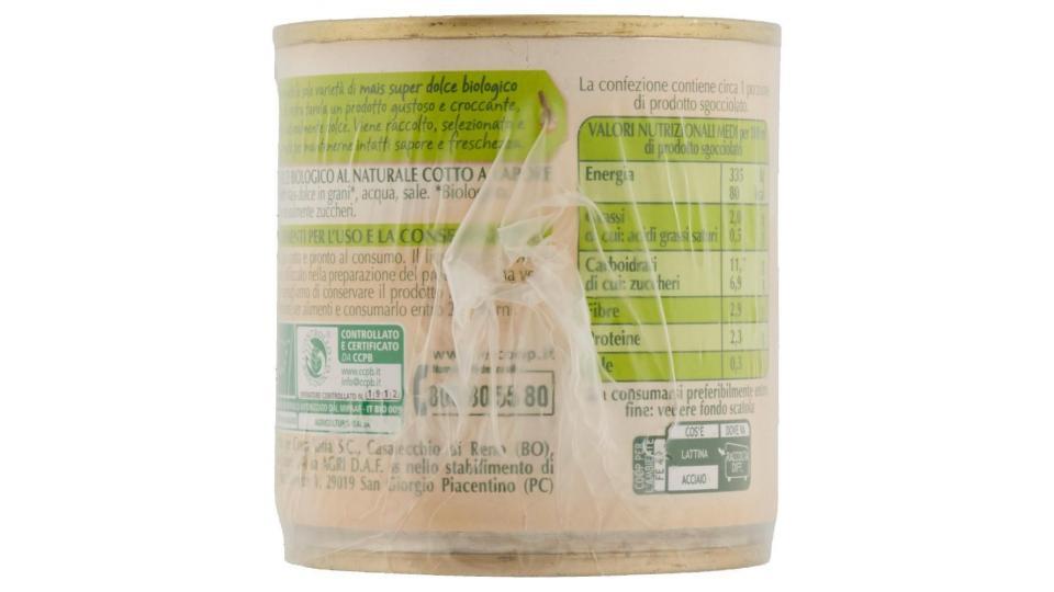 Mais Dolce Biologico