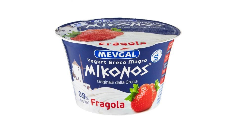 YOGURT GRECO MAGRO FICHI