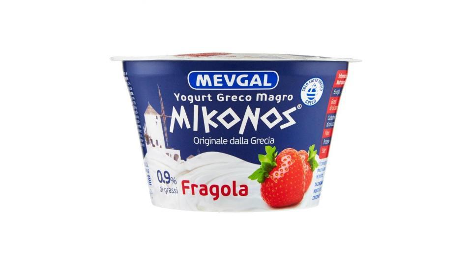 YOGURT GRECO MAGRO FICHI