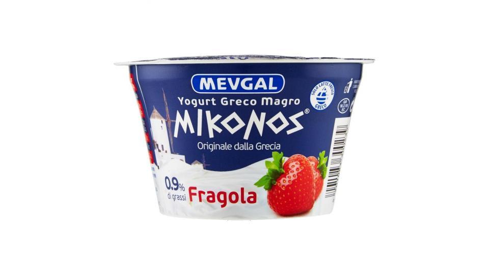 YOGURT GRECO MAGRO FICHI