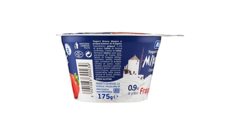 YOGURT GRECO MAGRO FICHI