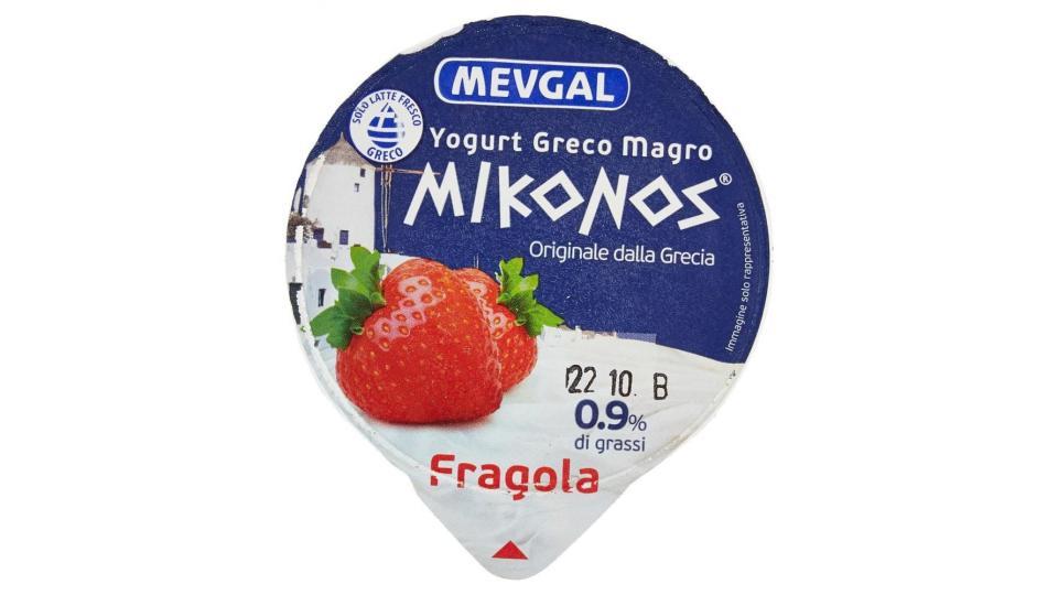 YOGURT GRECO MAGRO FICHI