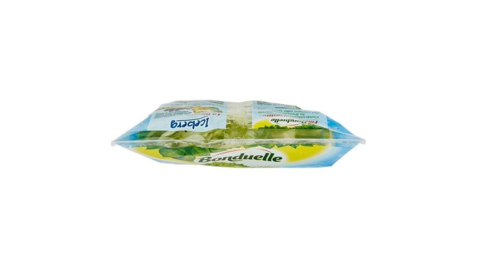 Bonduelle Iceberg