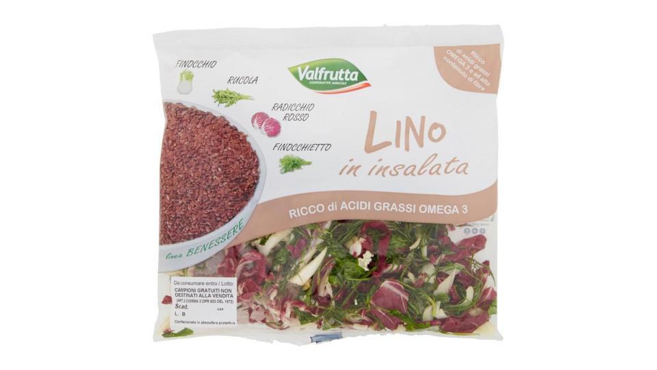 Valfrutta Linea Benessere Lino In Insalata