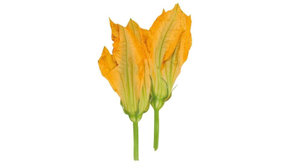 Fiori Di Zucca 8-10 Pz