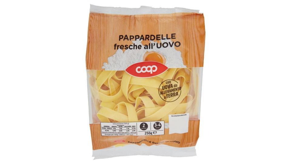 Pappardelle Fresche All'uovo
