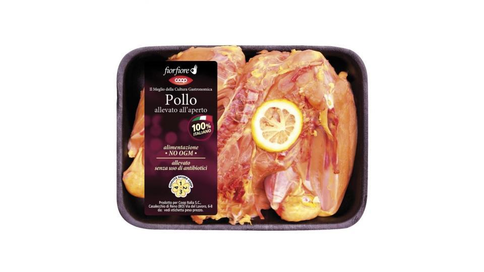 Pollo Grill Allevato All'aperto 900 G Ca