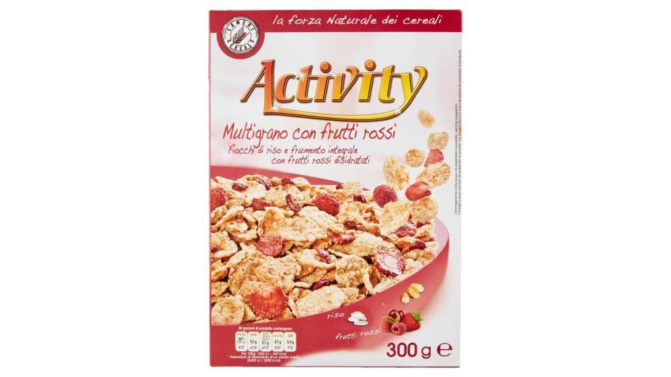 Activity Multigrano Con Frutti Rossi