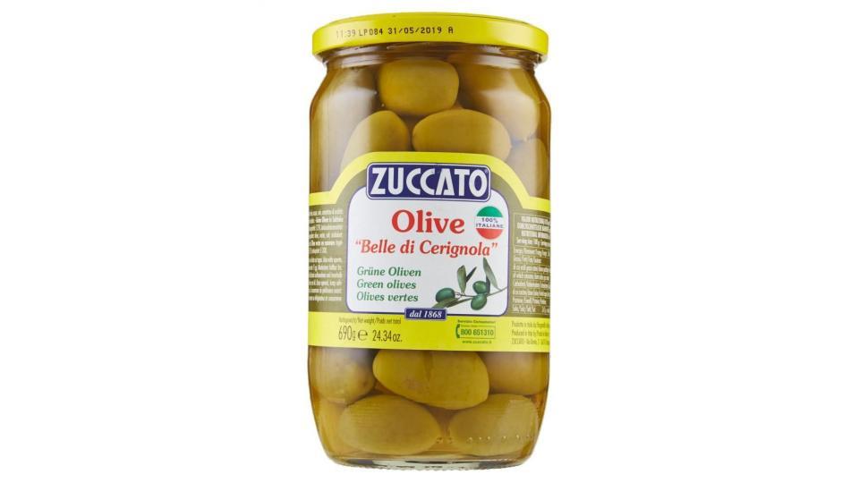 Zuccato Olive "belle Di Cerignola"
