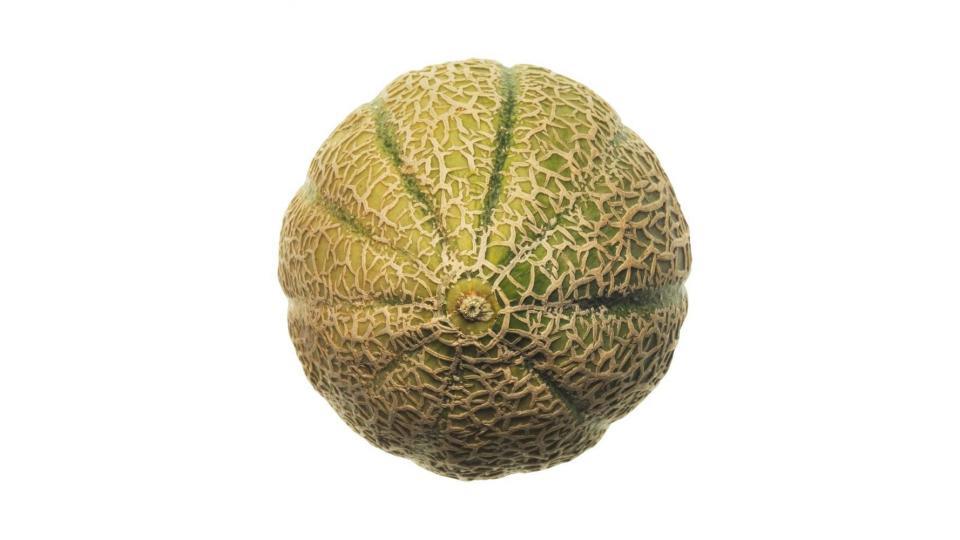 Melone Retato Polpa Gialla
